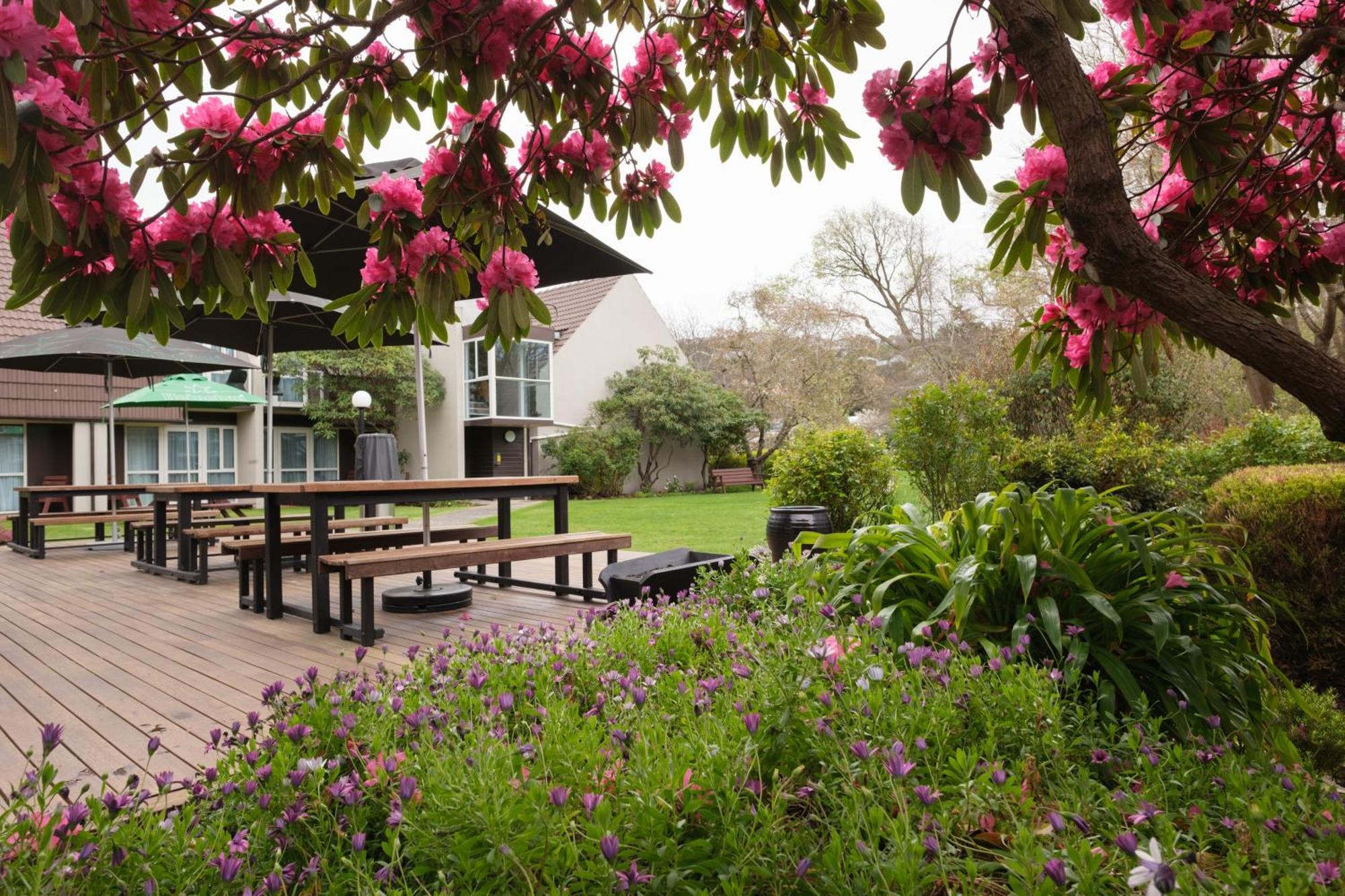 Dunedin Leisure Lodge - Distinction Exterior foto